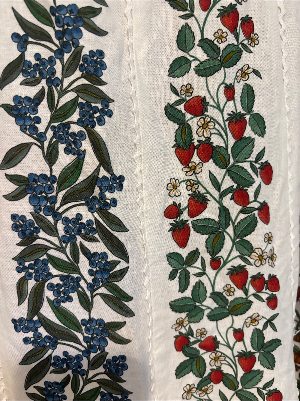 FARM Rio White Maxi Dress with Red and Blue Floral Embroidery - Picture 4 of 11